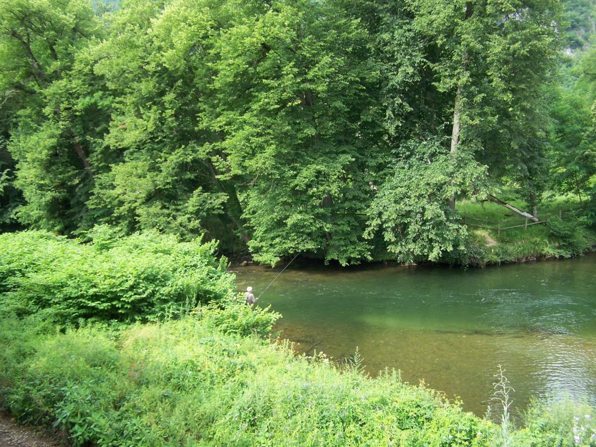 Appartement Les Rives De L'Ariege Luzenac Ngoại thất bức ảnh